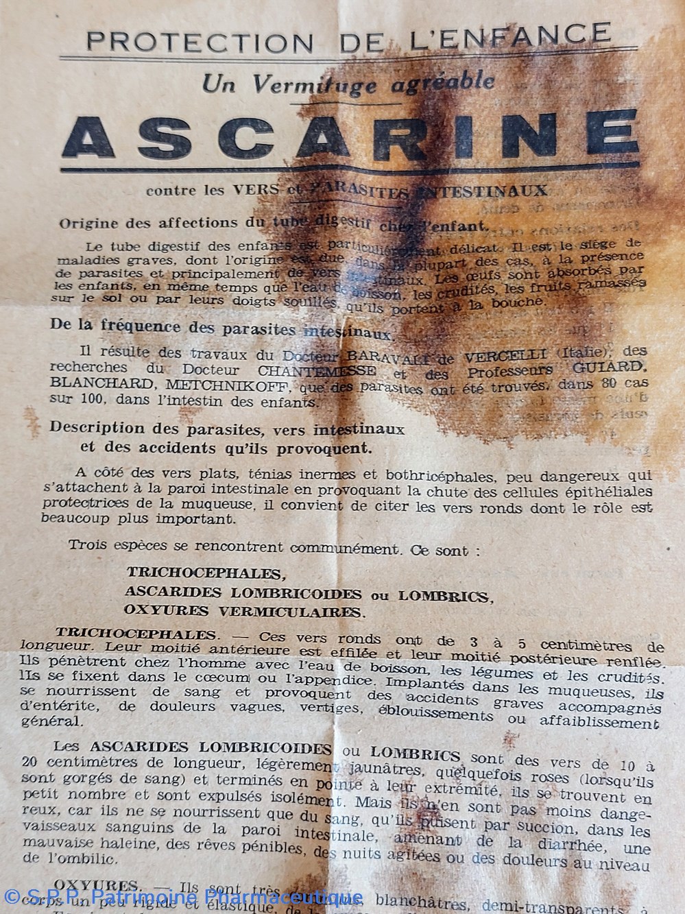 science framboises ascarine