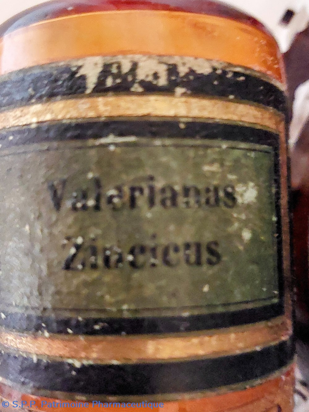 Flacon en verre ambré 11.5 " Valerianus Zincicus" 3 science pharmacie flacon en verre ambre 11 5 valerianus zincicus