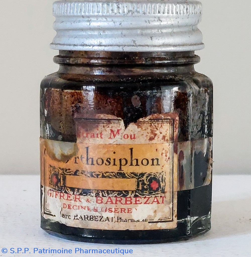 Orthosiphon petit pot en verre science pharmacie orthosiphon petit pot en verre