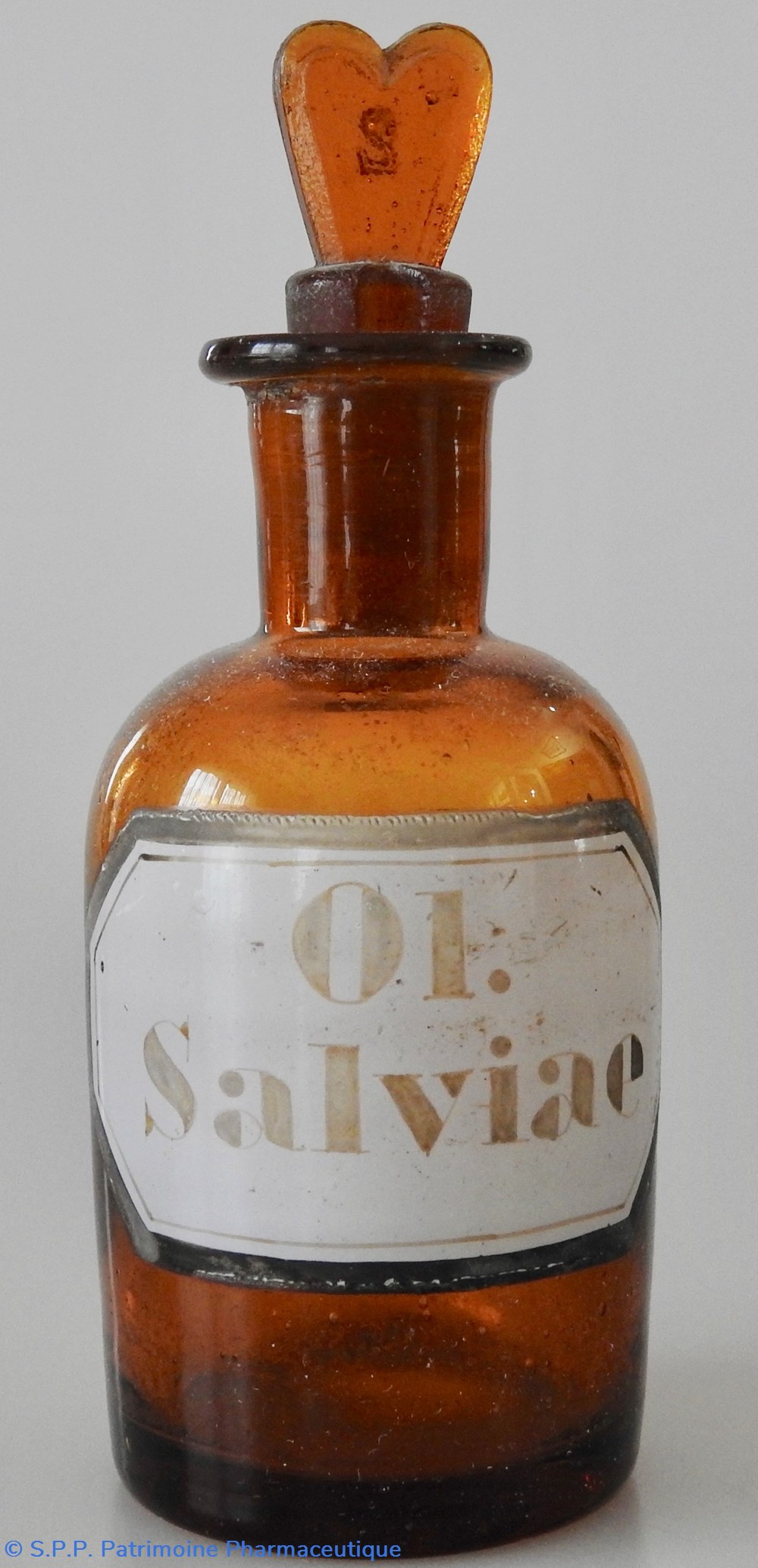 Ol. Salviae science pharmacie ol salviae