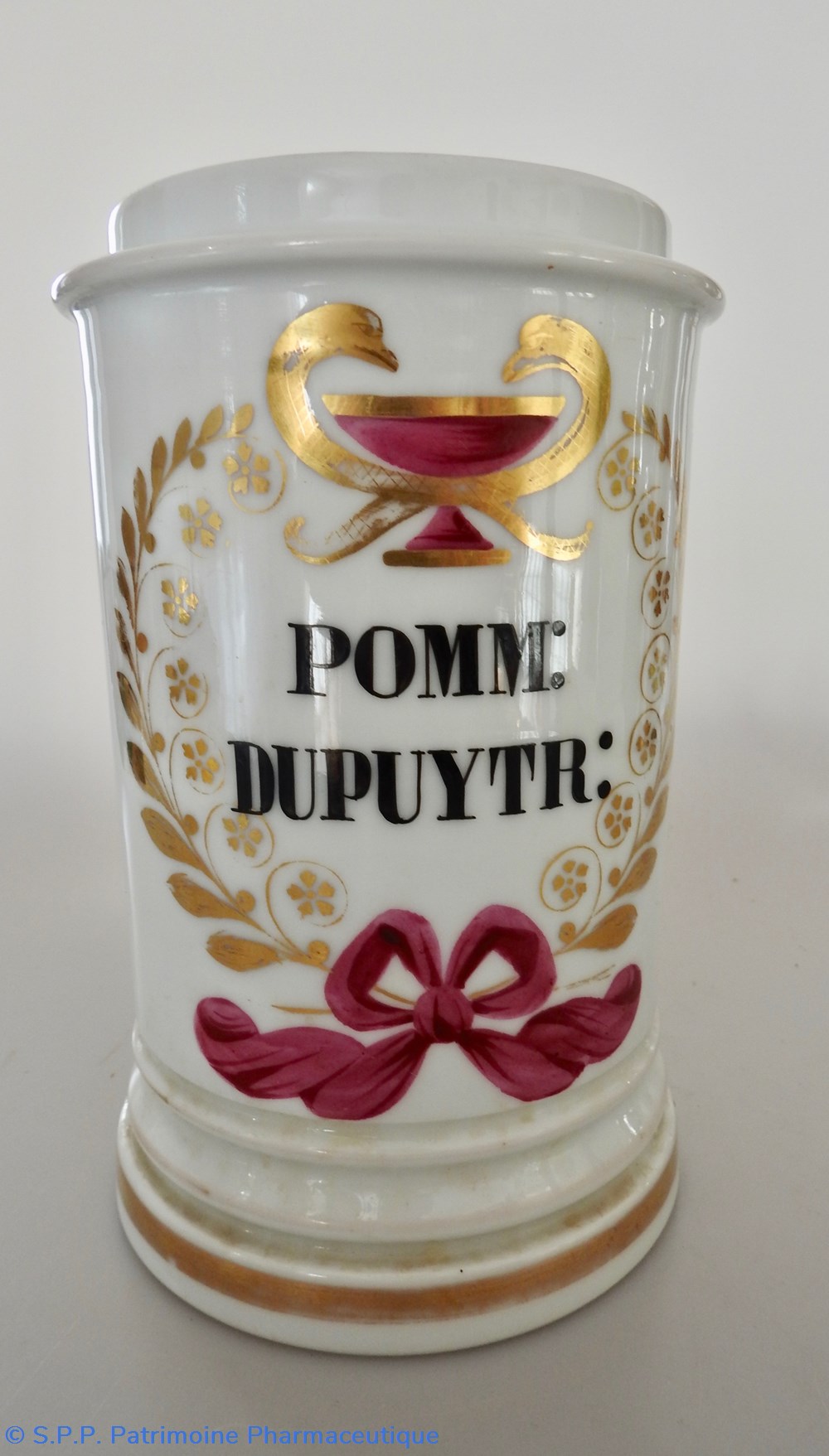 science pharmacie pomm dupuytr