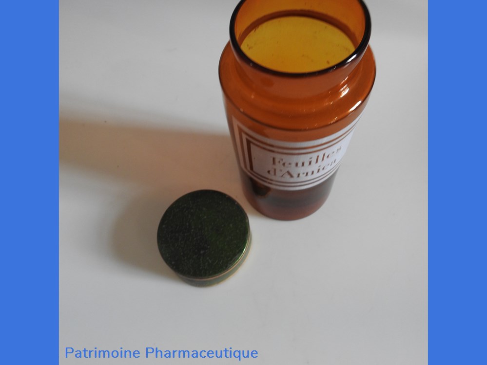 FEUILLES d'ARNICA 4 science pharmacie feuilles arnica