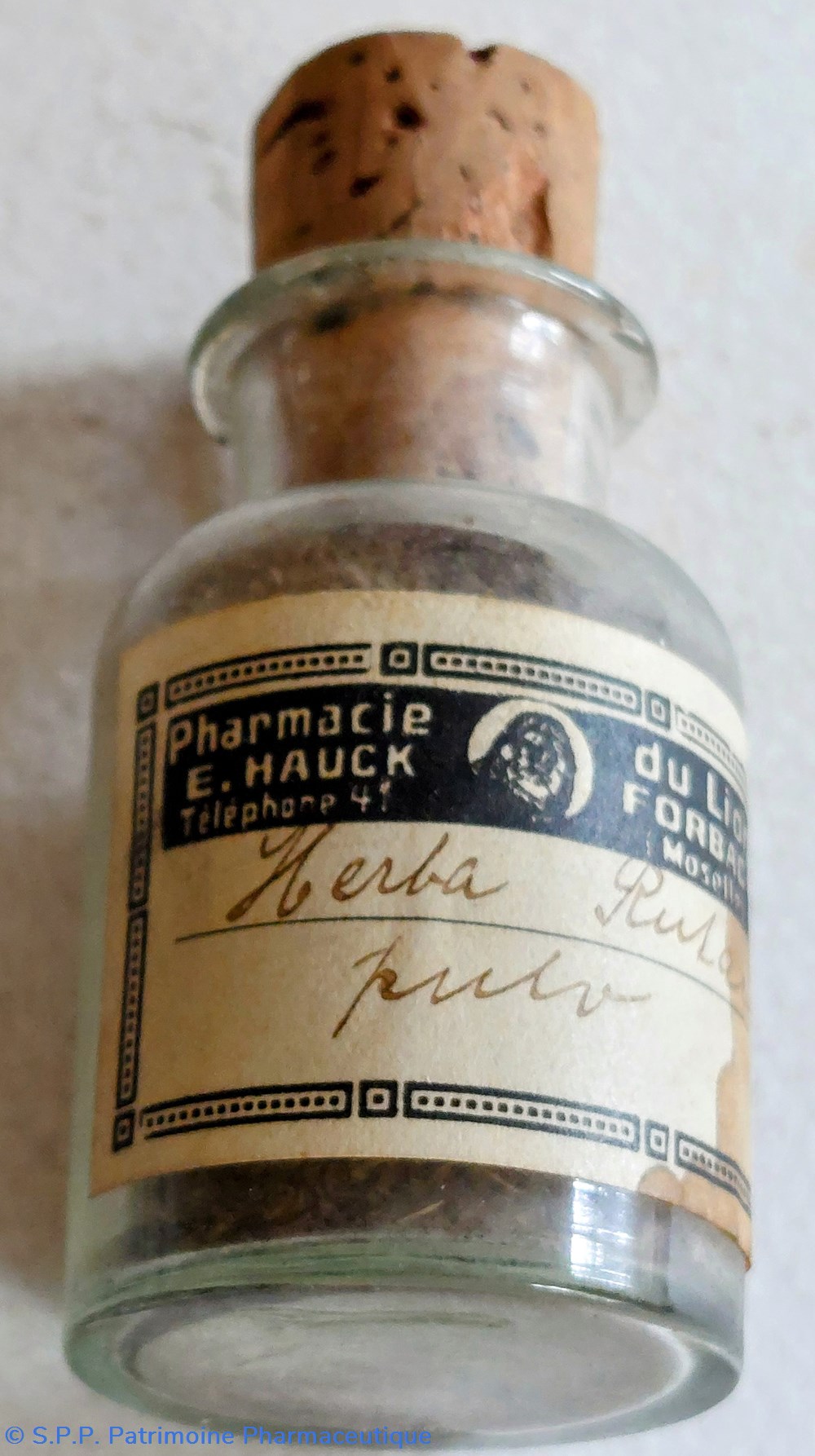 HERBA RUTA Pulv. 4 science pharmacie herba ruta pulv
