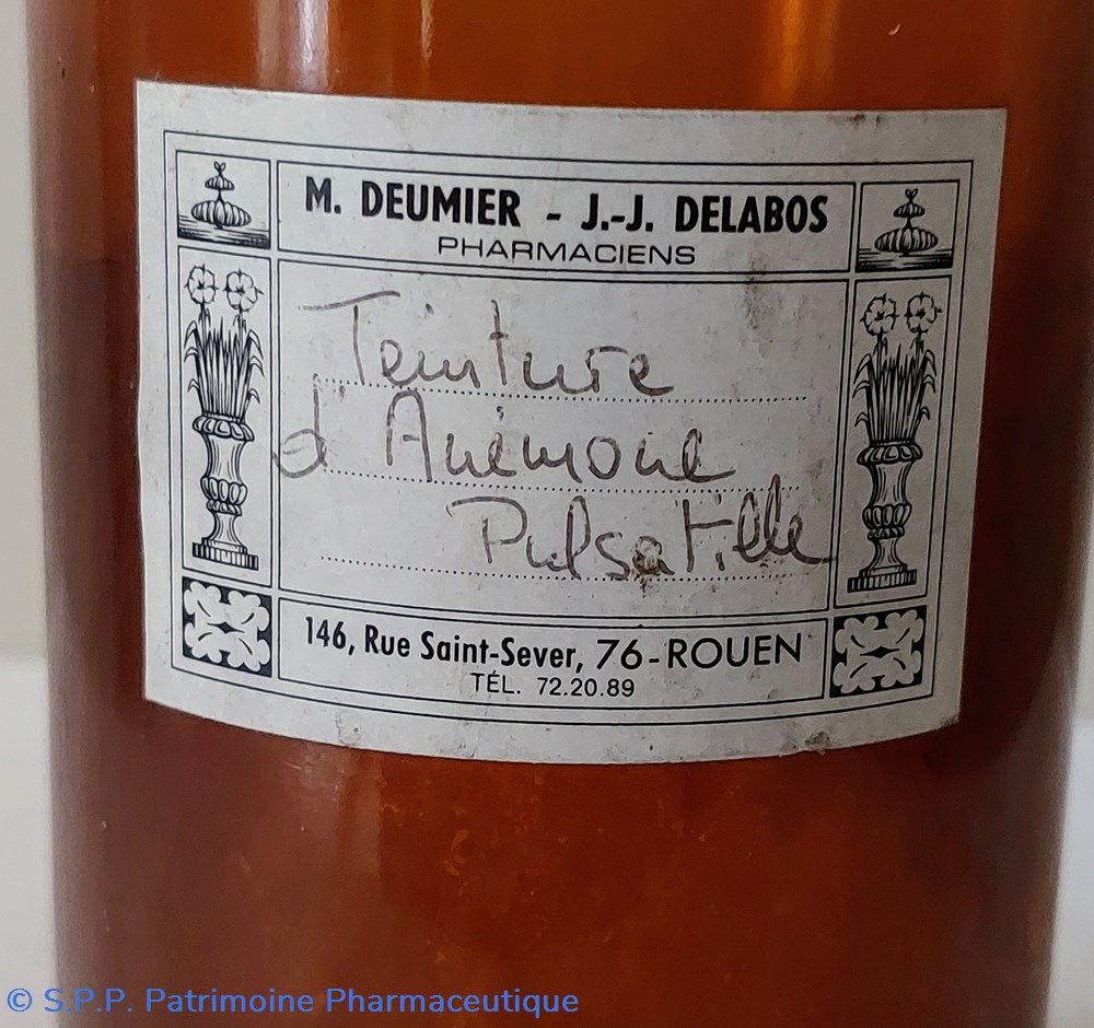 TEINTURE D'ANEMONE PULSATILLE 2 science pharmacie teinture anemone pulsatille