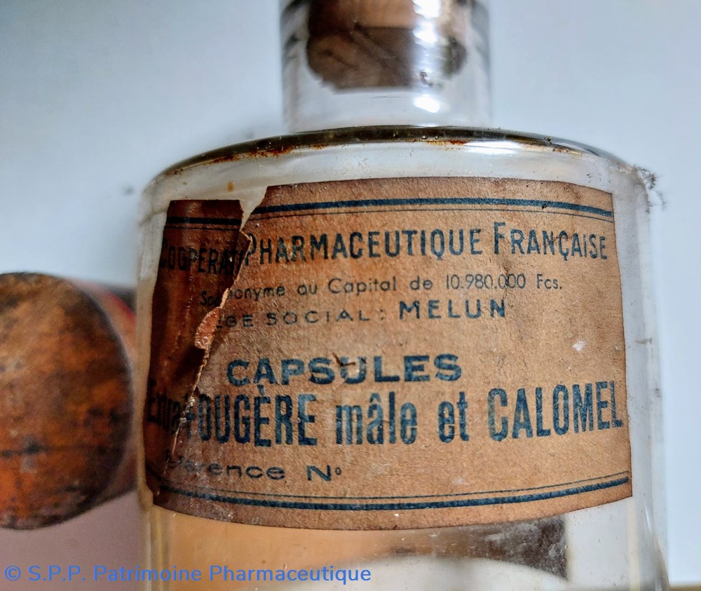 Capsules Extrait de Fougère mâle et Calomel 2 science pharmacie capsules extrait de fougere male et calomel