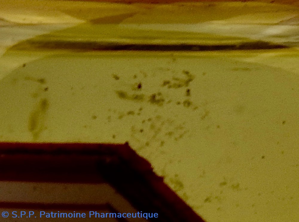 Flacon de pharmacie en verre ambré petit modèle à étiquette blanche et rouge 4 science flacon de pharmacie en verre ambre petit modele a etiquette blanche et rouge