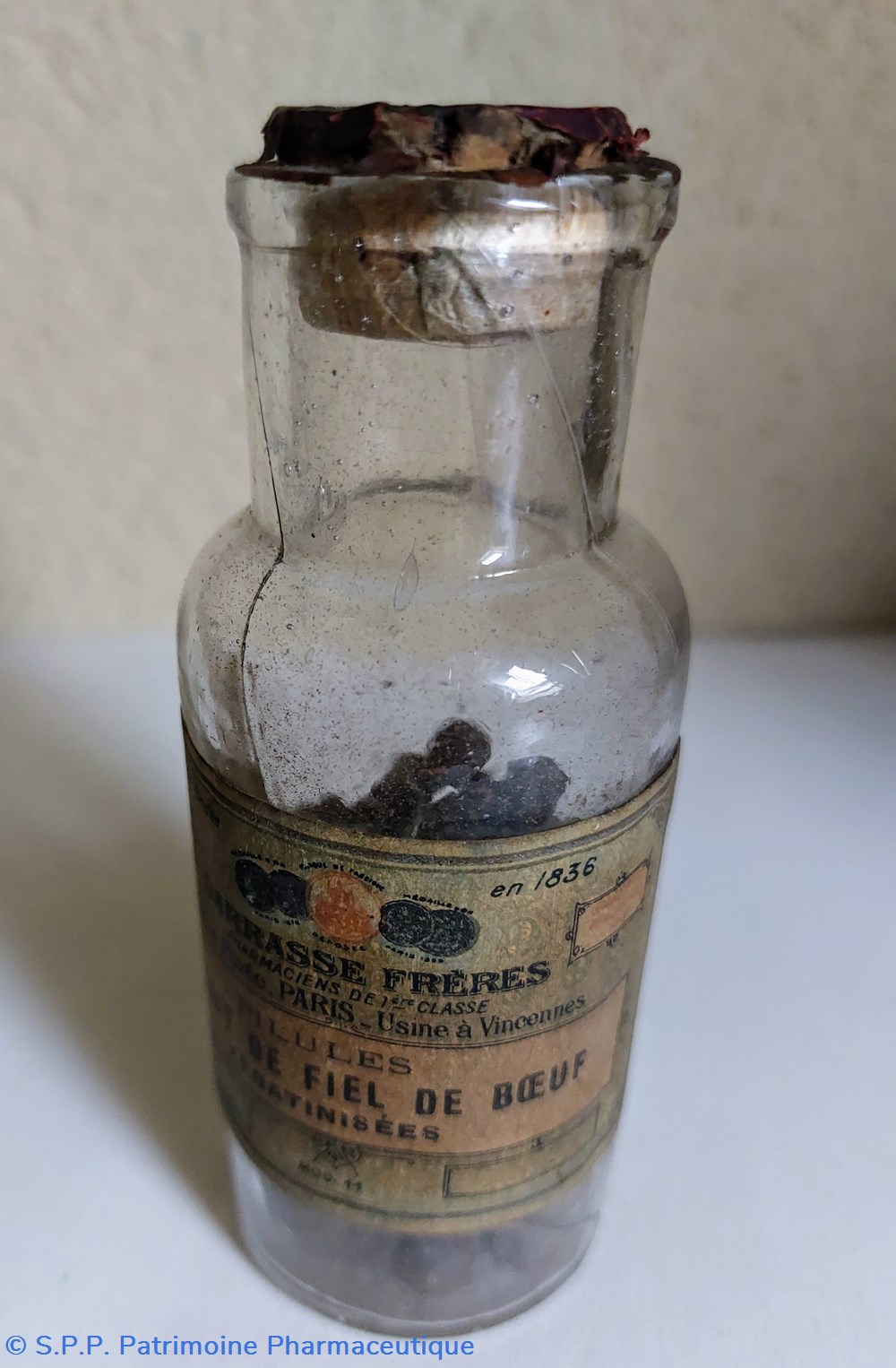 Extrait de Fiel de Bœuf - Flacon de 50 pilules 2 science pharmacie extrait de fiel de b uf flacon de 50 pilules