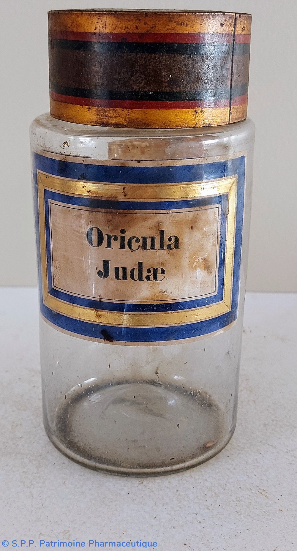 science pharmacie oricula judae