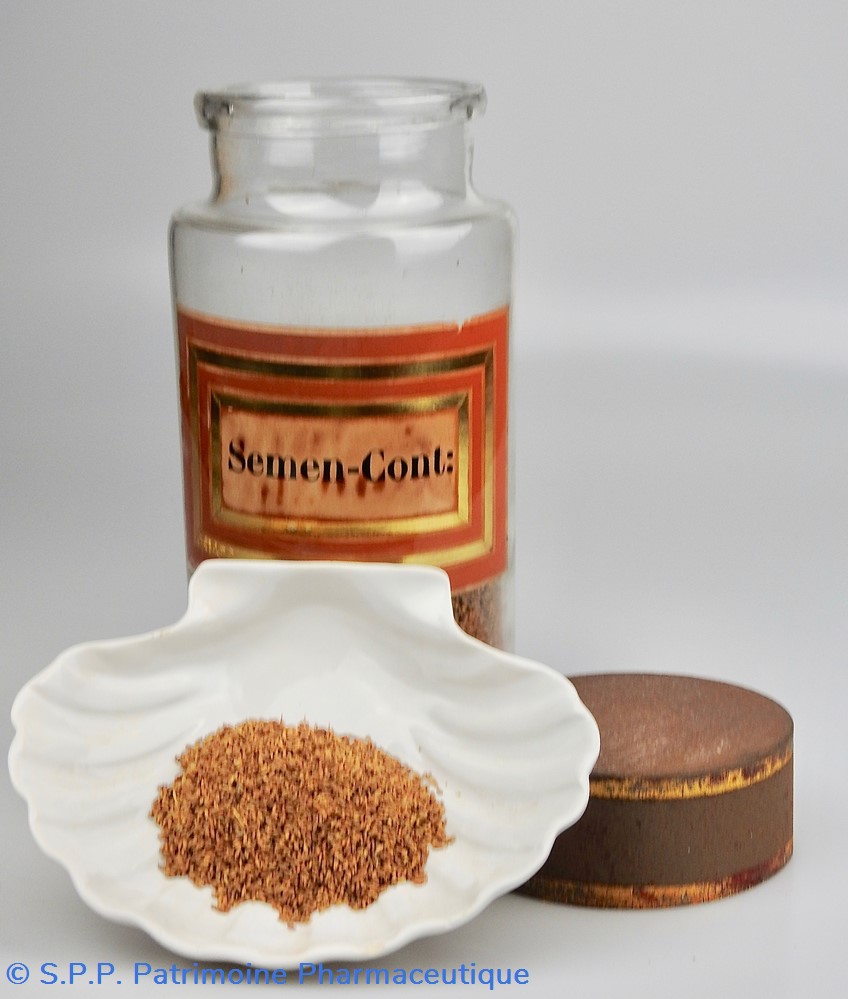 Flacon en verre Herboristerie grand modèle Pharmacie RAVASSE 5 science flacon en verre herboristerie grand modele pharmacie ravasse