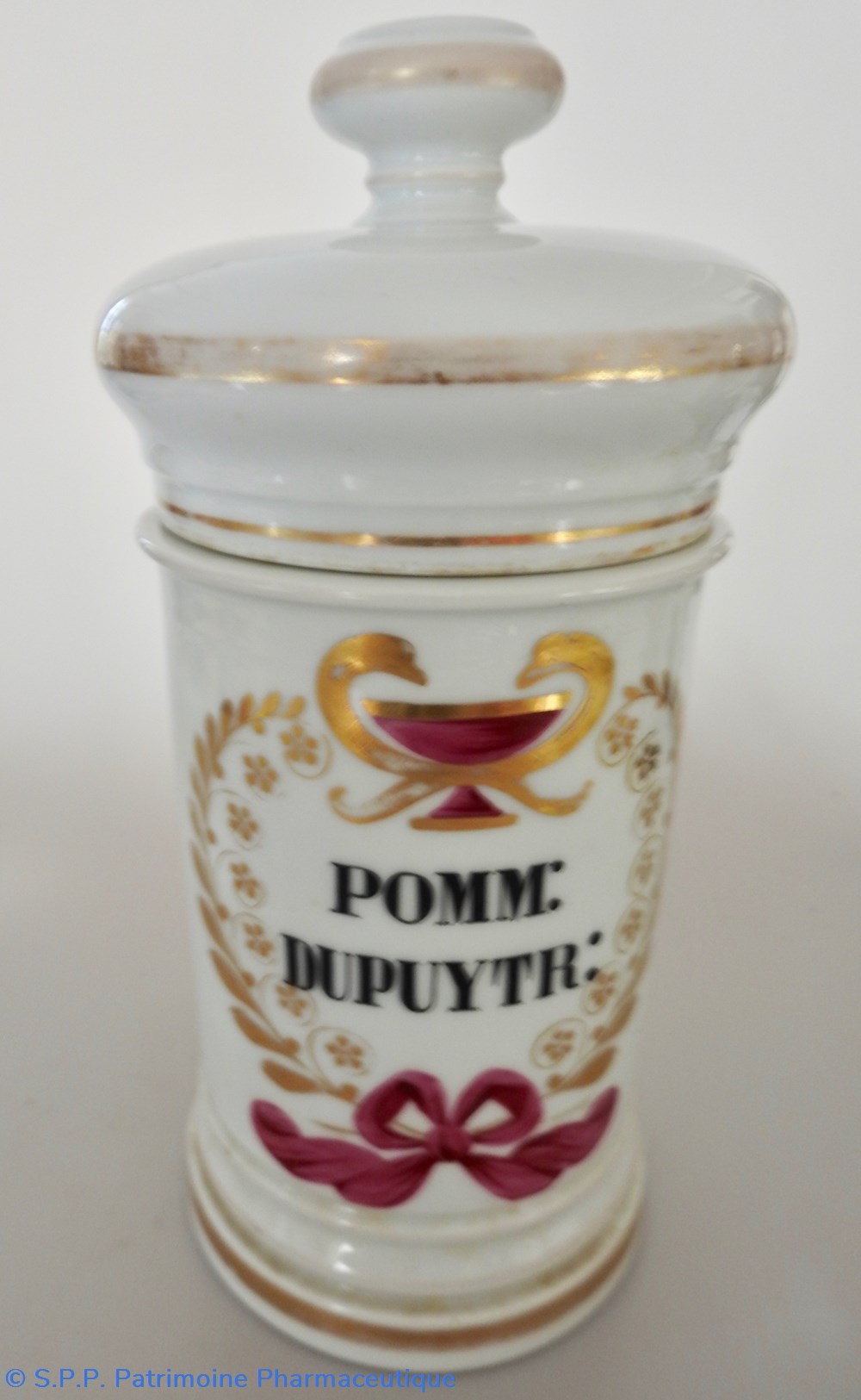science pharmacie pomm dupuytr