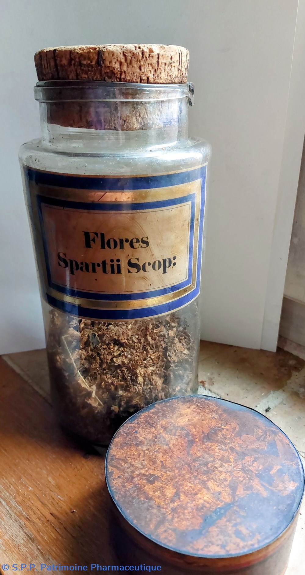 Flores Spartii Scop : Flacon en verre Herboristerie 2 science pharmacie flores spartii scop flacon en verre herboristerie