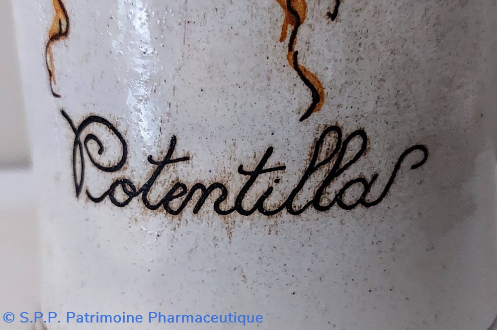 science pharmacie bouteille en gres decoree potentillas