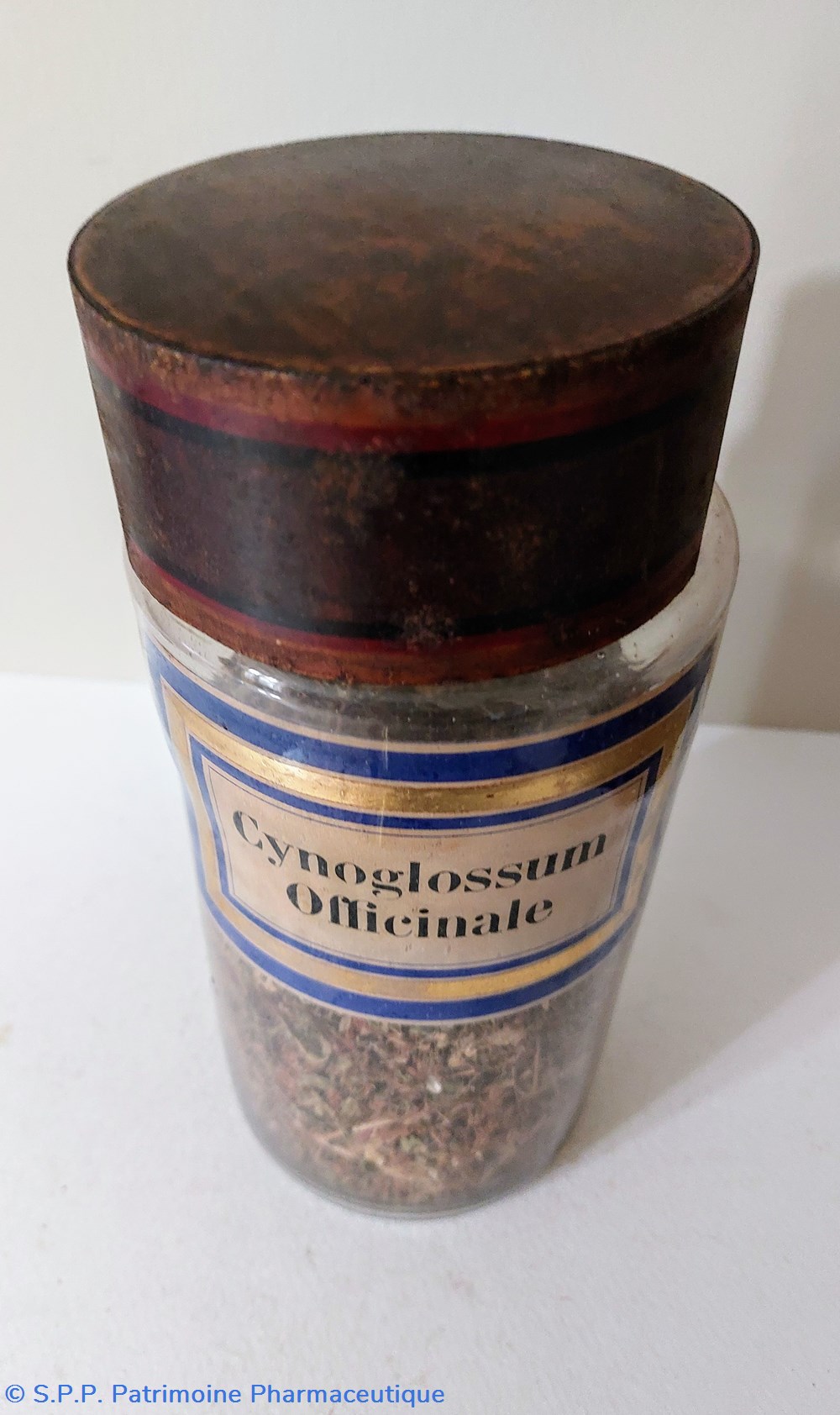 science pharmacie flacon herboristerie cynoglossum officinale
