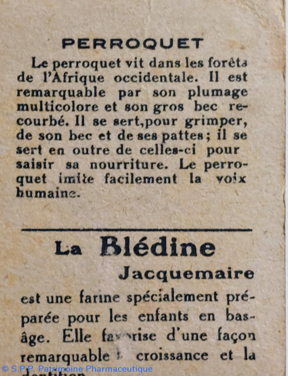 science pharmacie bon point jacquemaire le perroquet