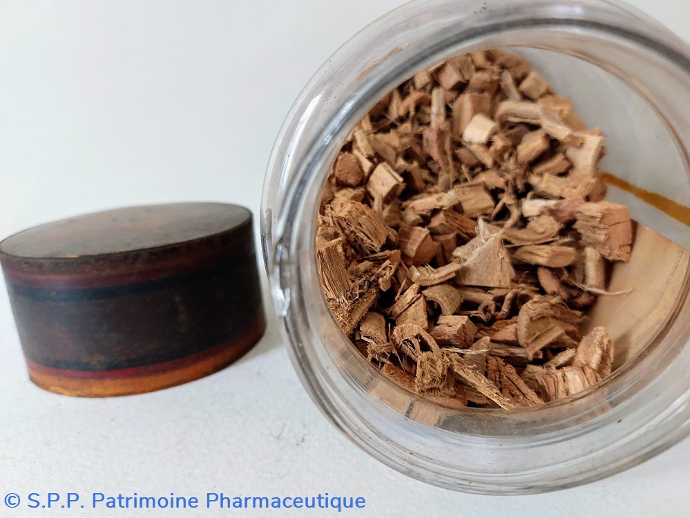science pharmacie flacon herboristerie cortex simarubae