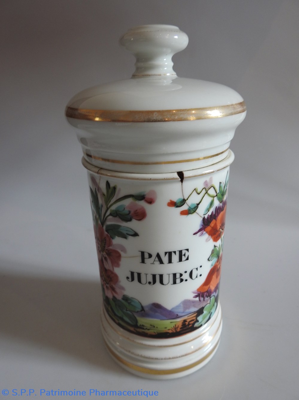 PATE JUJUB:C: science pharmacie pate jujub c