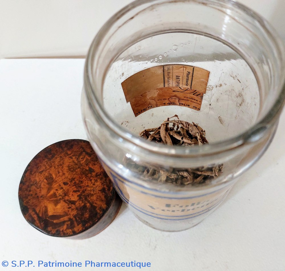 science pharmacie flacon herboristerie folia verbenae