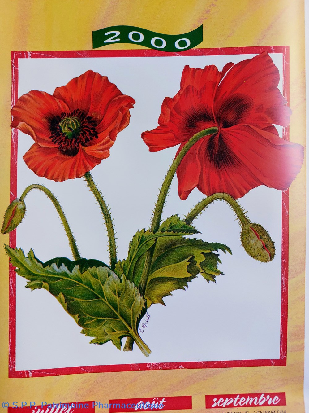 CALENDRIER 2000 _ Coquelicot 2 science pharmacie calendrier 2000 coquelicot