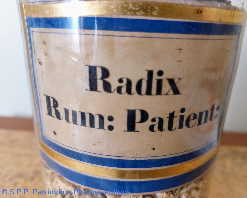 science pot de pharmacie radix rum patient