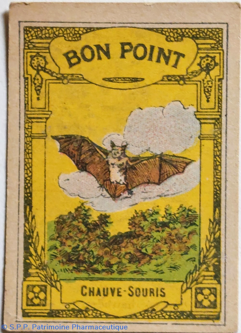 science pharmacie bon point jacquemaire la chauve souris