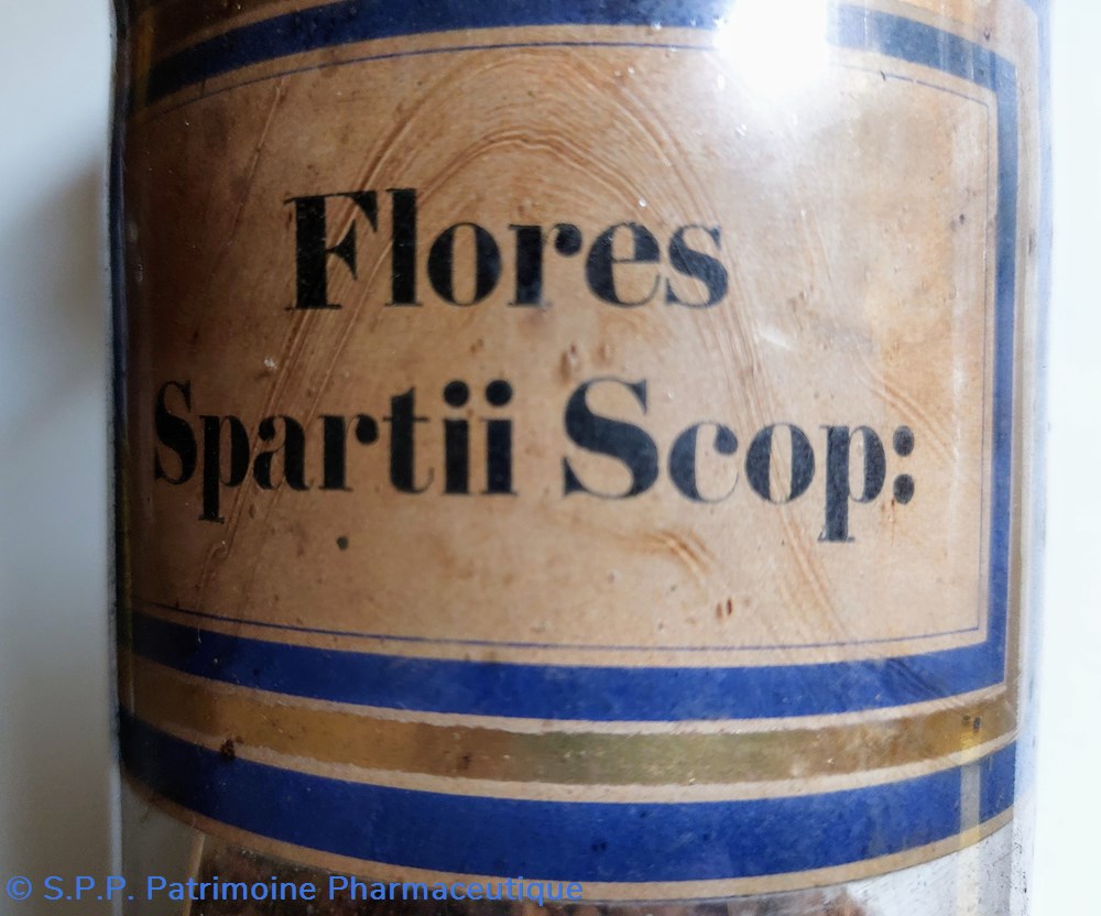 Flores Spartii Scop : Flacon en verre Herboristerie 4 science pharmacie flores spartii scop flacon en verre herboristerie