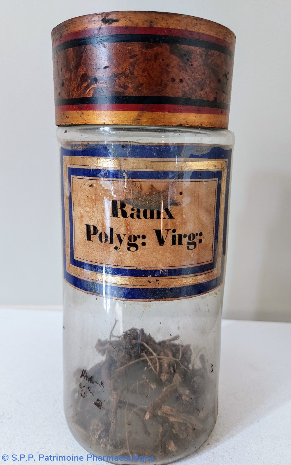 Flacon Herboristerie " Radix Polyg: Virg :" science pharmacie flacon herboristerie radix polyg virg