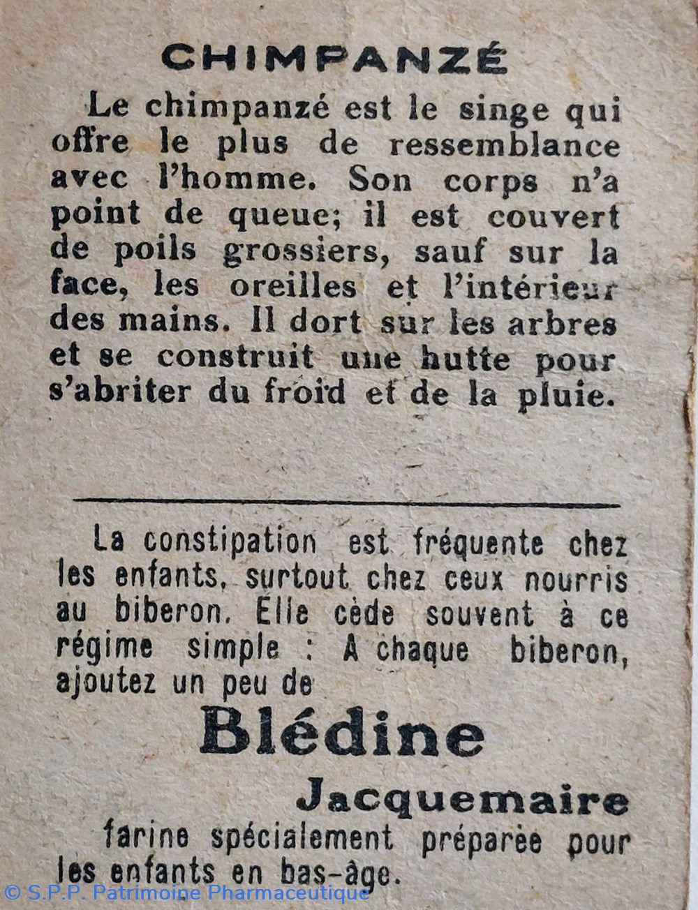 science pharmacie bon point jacquemaire le chimpanze