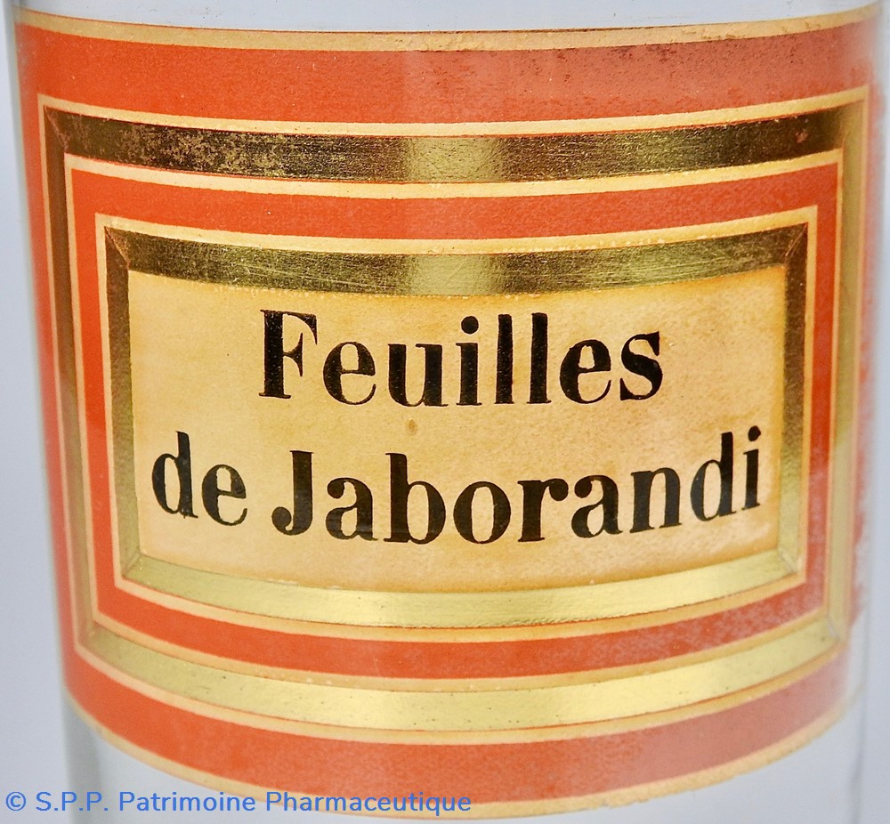 Flacon en verre Herboristerie grand modèle Pharmacie RAVASSE 2 science flacon en verre herboristerie grand modele pharmacie ravasse