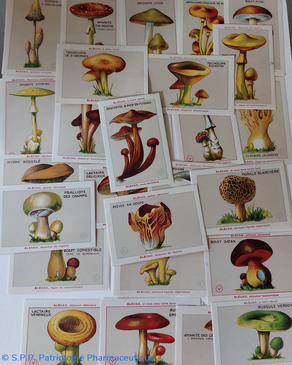 32 Cartes champignons Blécao à collectioner 3 objets publicitaires 32 cartes champignons blecao a collectioner