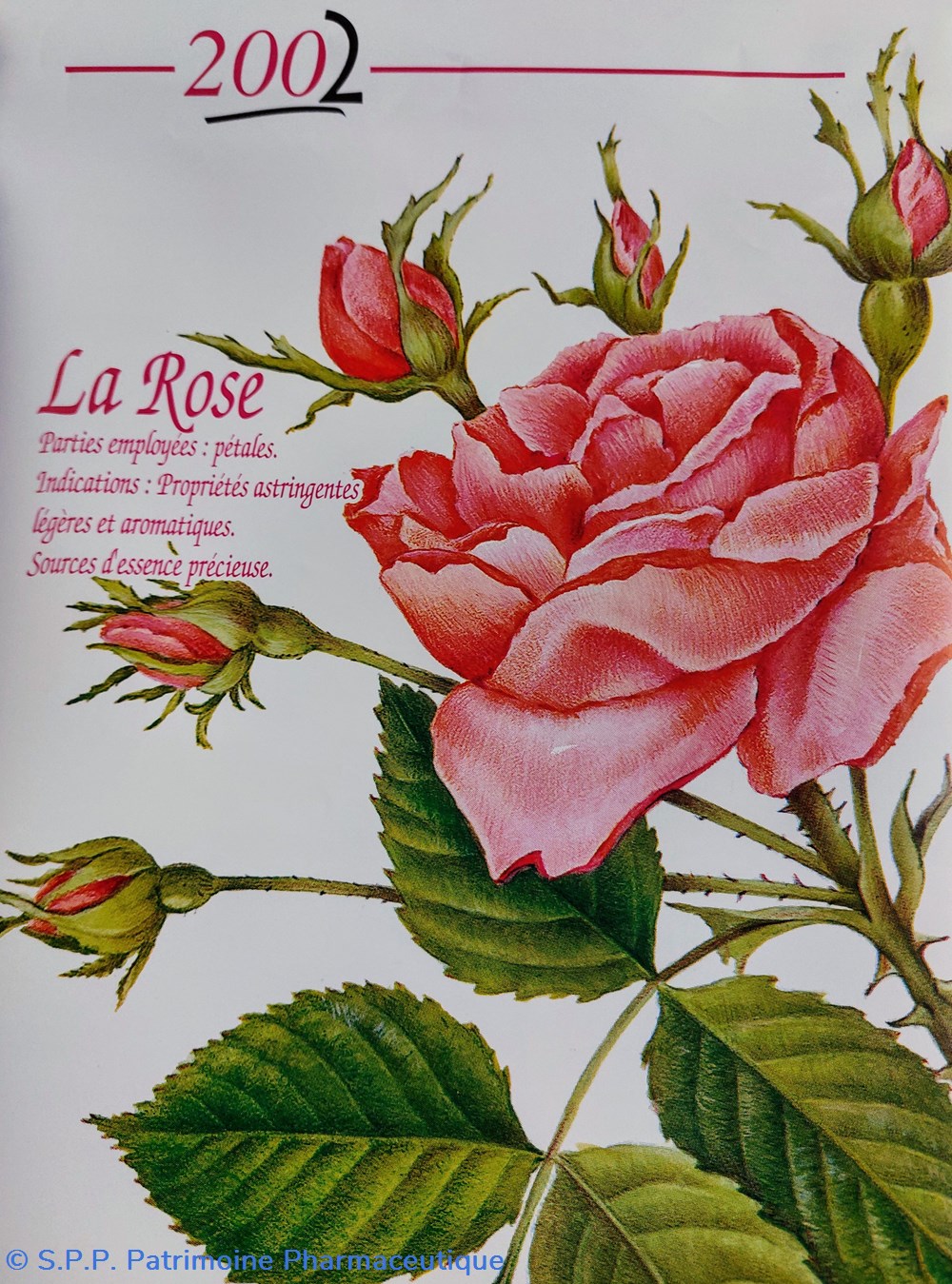 science pharmacie calendrier 2002 rose