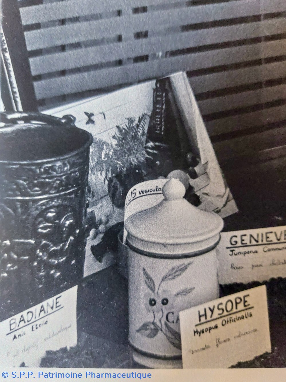 documents anciens photo une vitrine de pharmacie 1966