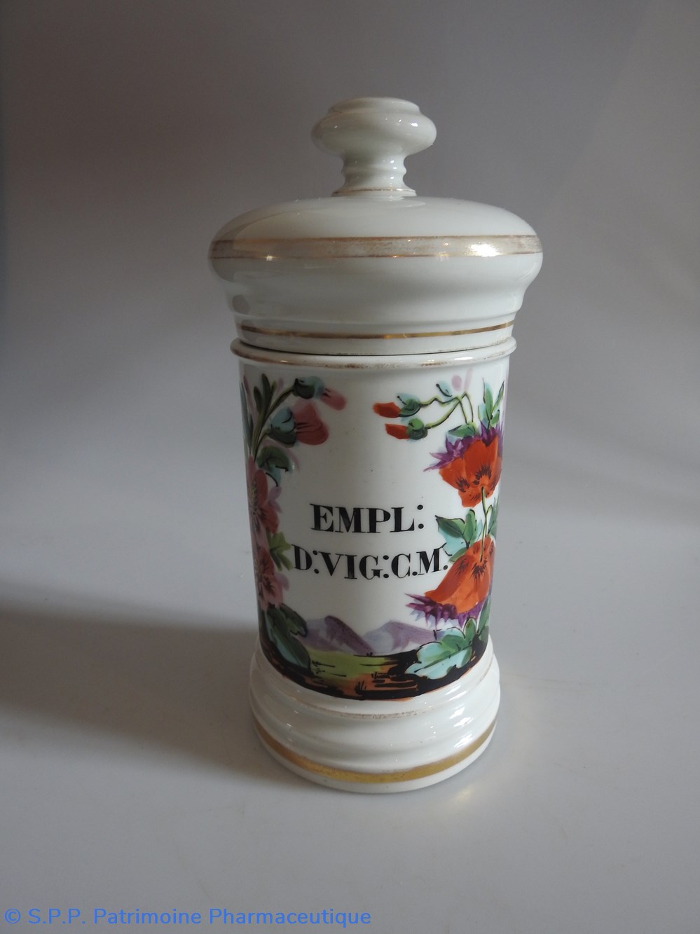 EMPL:D:VIG:C.M. science pharmacie empl d vig c m