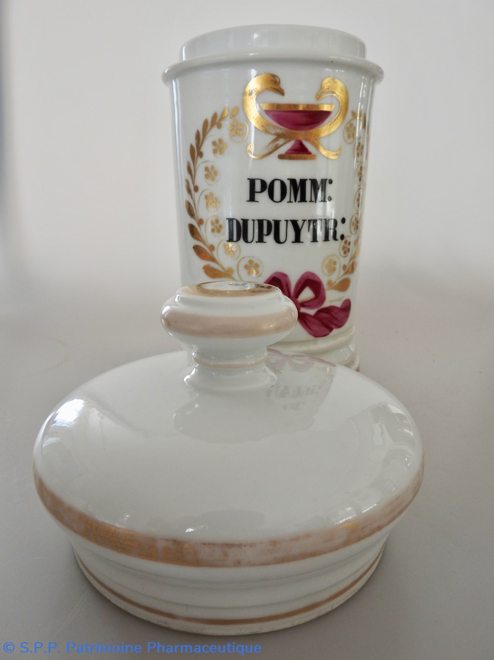 science pharmacie pomm dupuytr