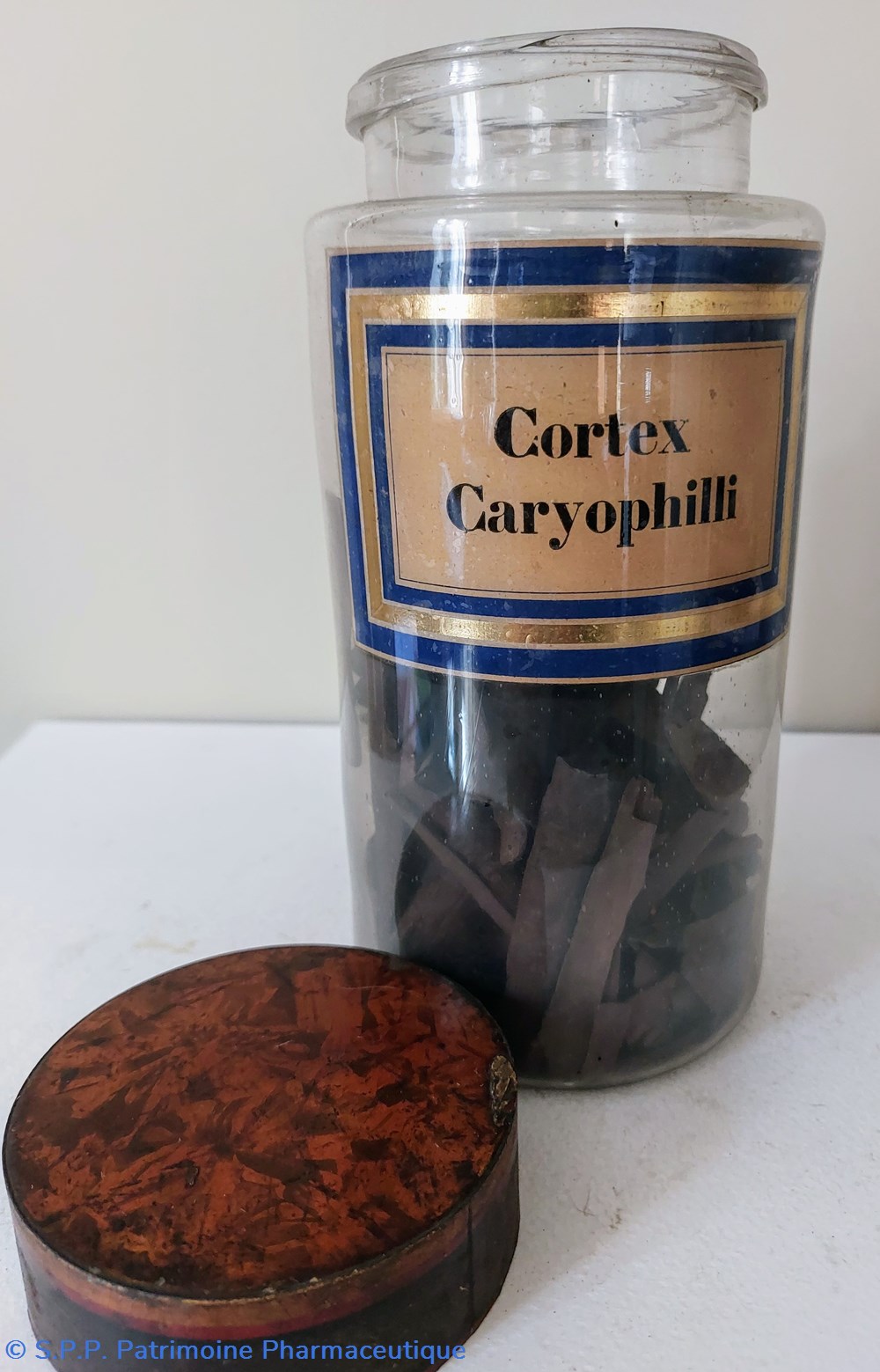Flacon Herboristerie "Cortex Caryophilli" 3 science pharmacie flacon herboristerie cortex caryophilli