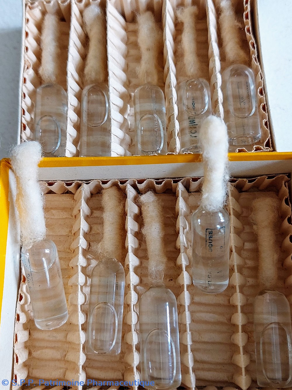 DELCAÏNE ROQUES 10 ampoules 5 science pharmacie delcaine roques 10 ampoules