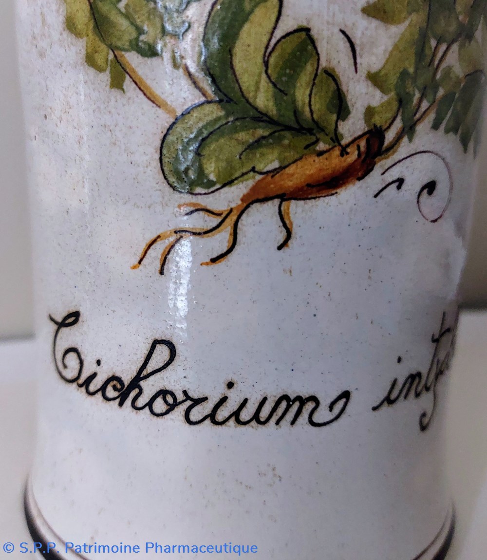 science pharmacie bouteille en gres decoree cichorium intybus
