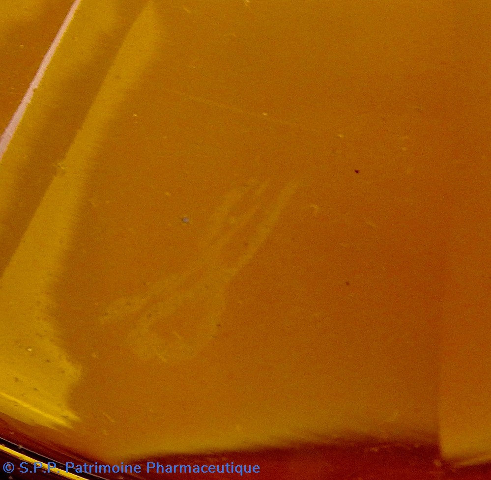 Flacon de pharmacie en verre ambré moyen modèle à étiquette blanche et noire 5 science flacon de pharmacie en verre ambre moyen modele a etiquette blanche et noire