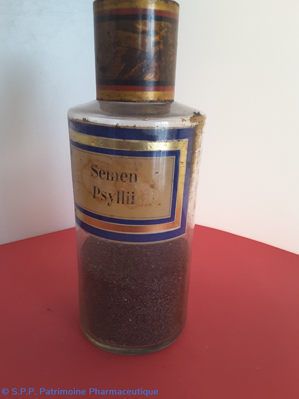 Semen Psyllii science pharmacie semen psyllii