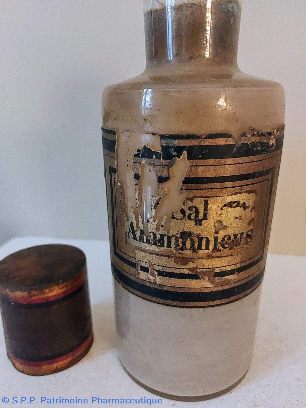 science pharmacie sal ammonicus