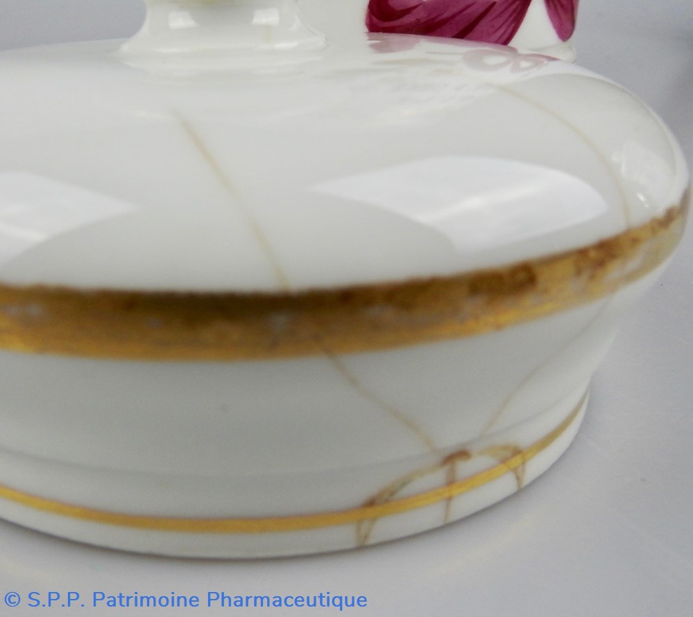 PULPE DE CASSE 4 science pharmacie pulpe de casse