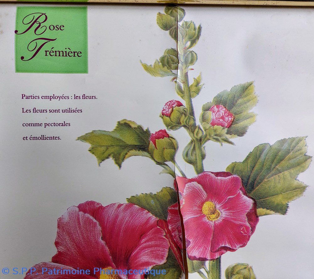 science pharmacie calendrier 2004 rose tremiere