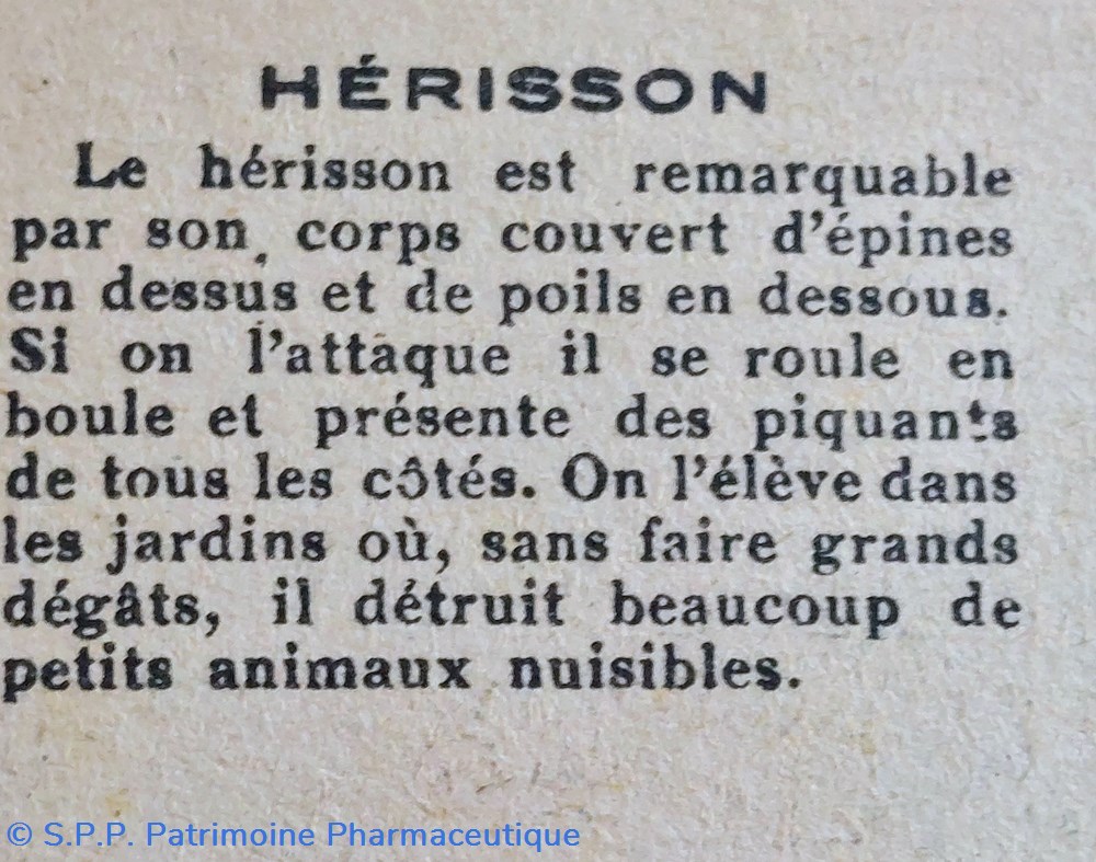Bon point JACQUEMAIRE - Le Hérisson 3 science pharmacie bon point jacquemaire le herisson