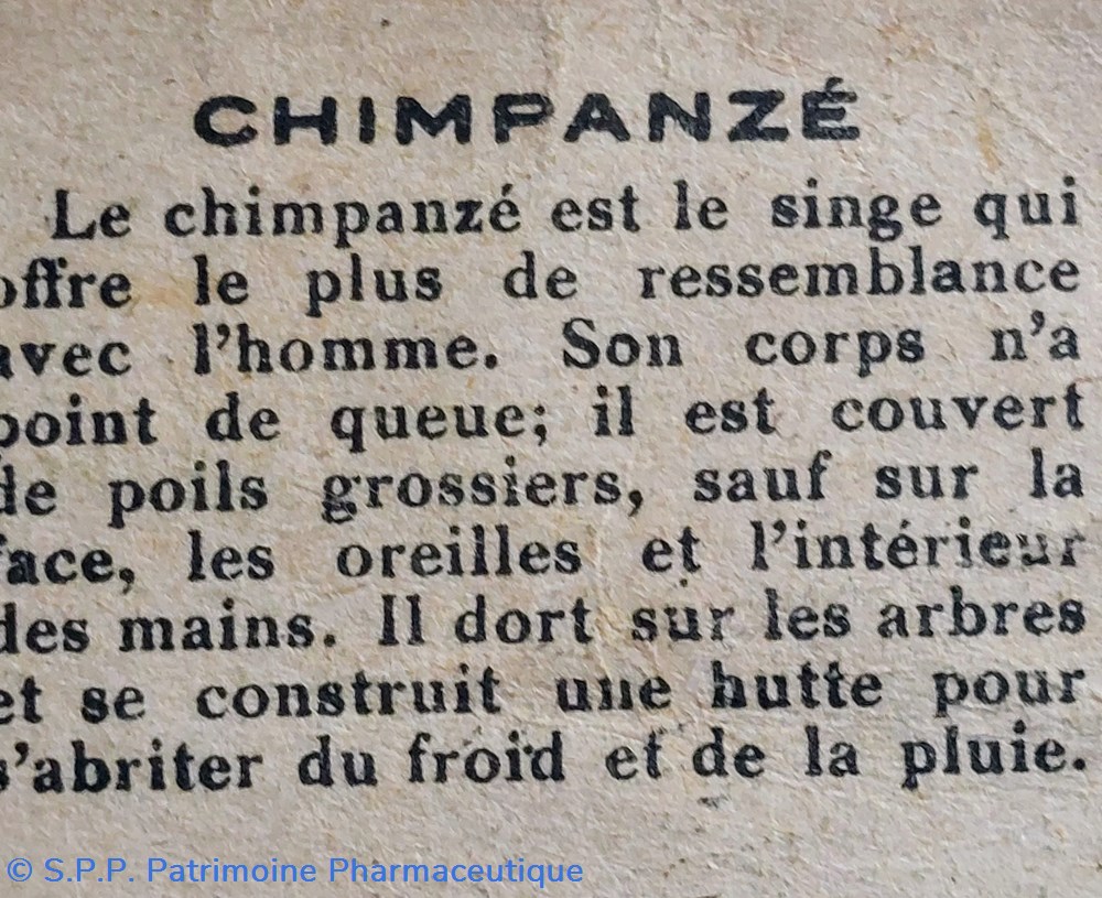 science pharmacie bon point jacquemaire le chimpanze