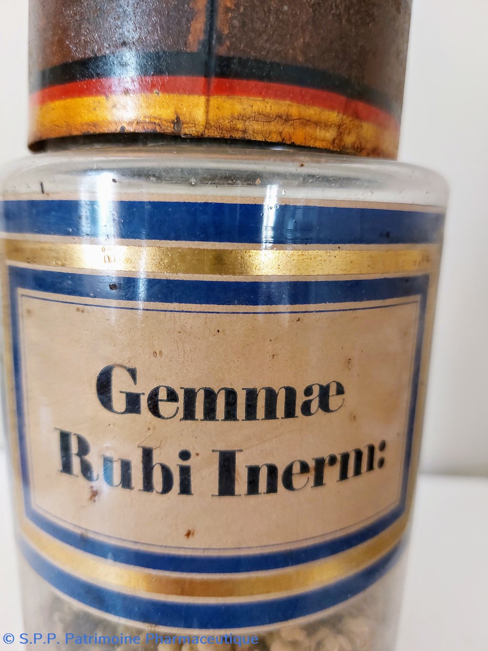 science pharmacie flacon herboristerie gemmae rubi inerm