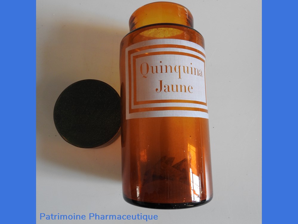 Quinquina Jaune 5 science pharmacie quinquina jaune