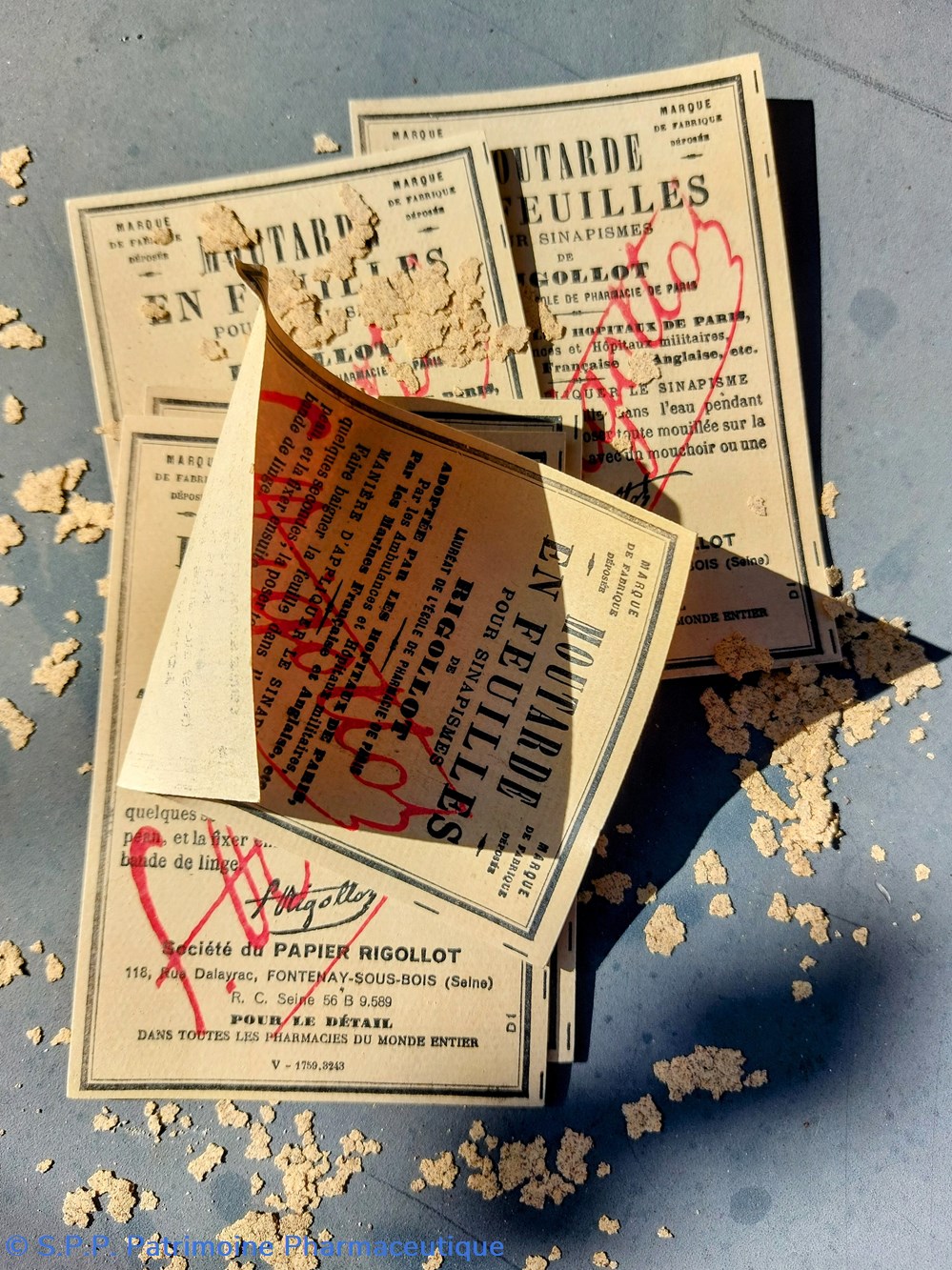MOUTARDE en feuilles /Sinapisme de RIGOLLOT 5 science pharmacie moutarde en feuilles sinapisme de rigollot