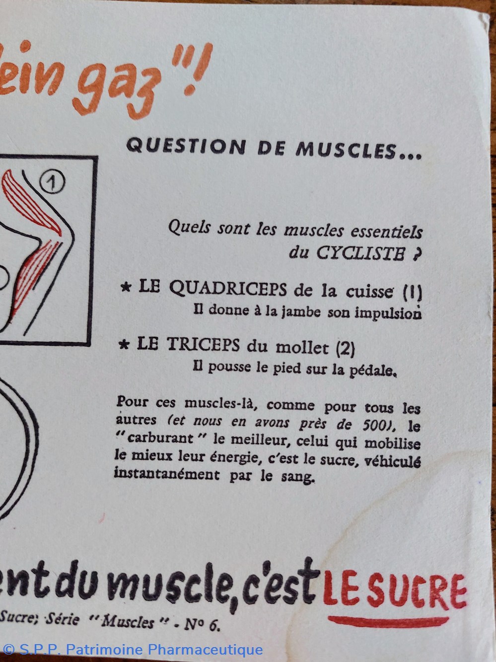 science pharmacie le sucre aliment du muscle serie muscles n 6 cyclisme