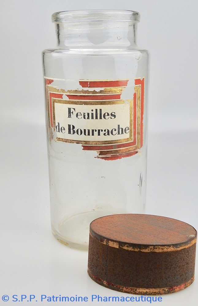 Flacon en verre Herboristerie très grand modèle Pharmacie RAVASSE 3 science flacon en verre herboristerie tres grand modele pharmacie ravasse