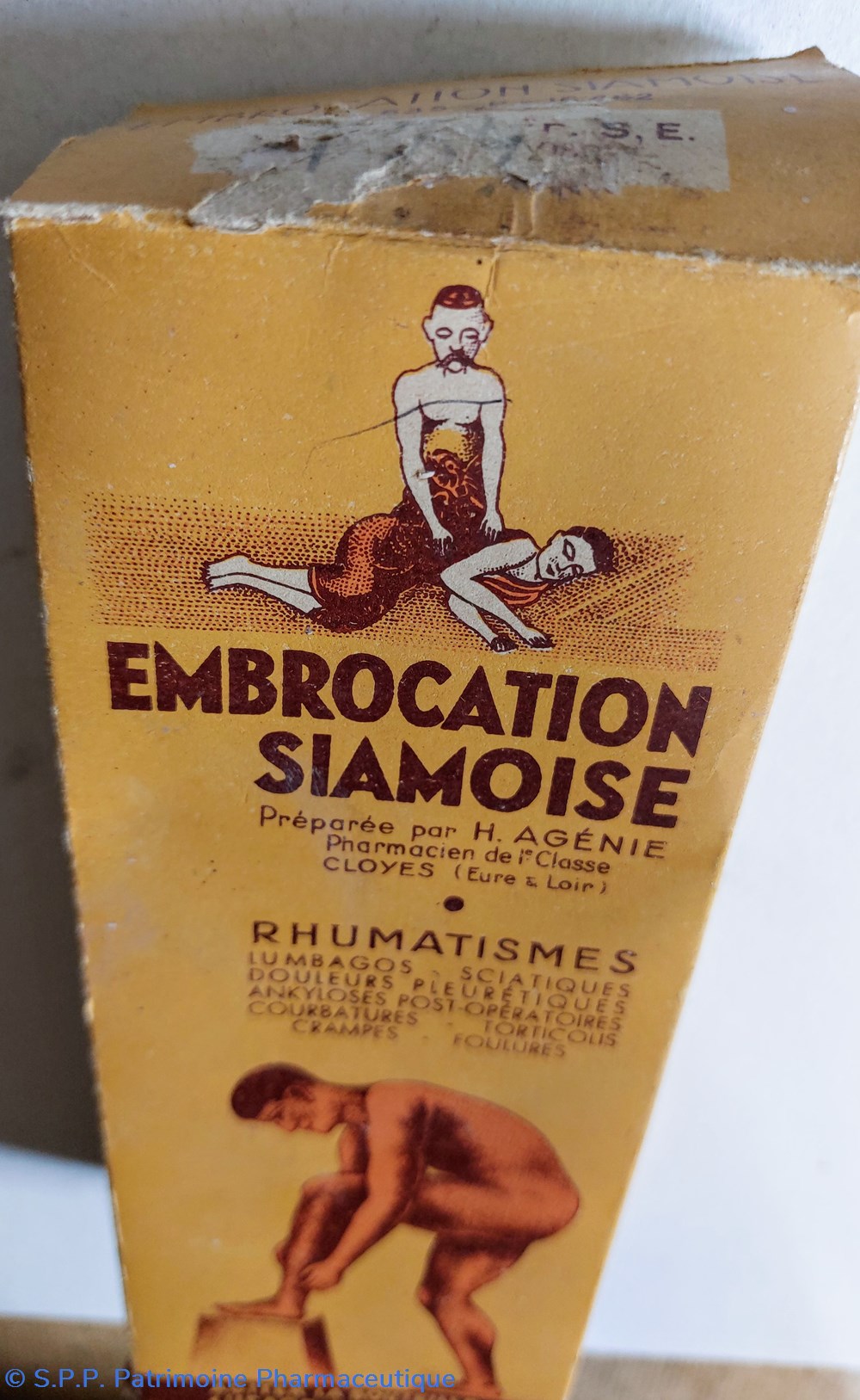EMBROCATION SIAMOISE ( pour massages) 4 science embrocation siamoise pour massages