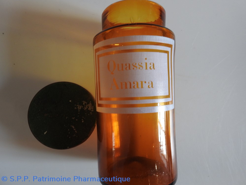 Quassia Amara 3 science pharmacie quassia amara